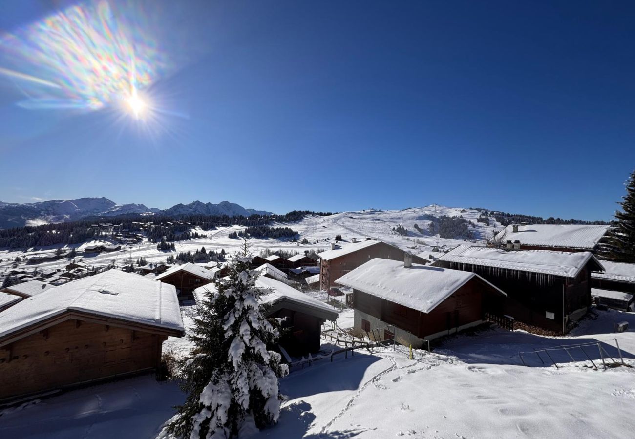 Chalet in Hauteluce - Chalet
