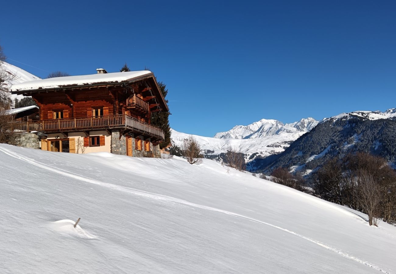 Chalet in Hauteluce - chalet