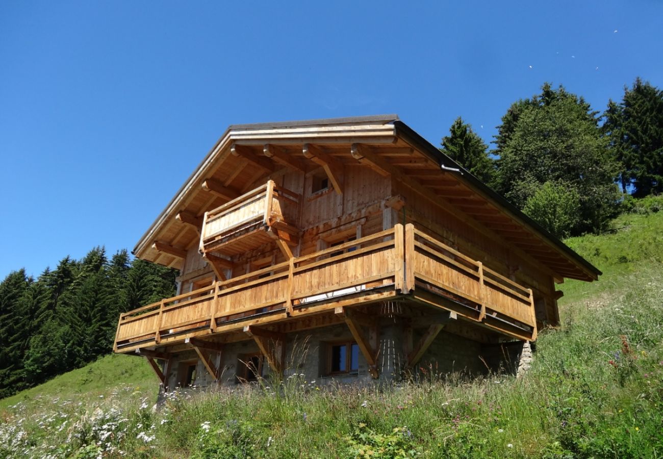 Chalet in Villard-sur-Doron - Amazing chalet