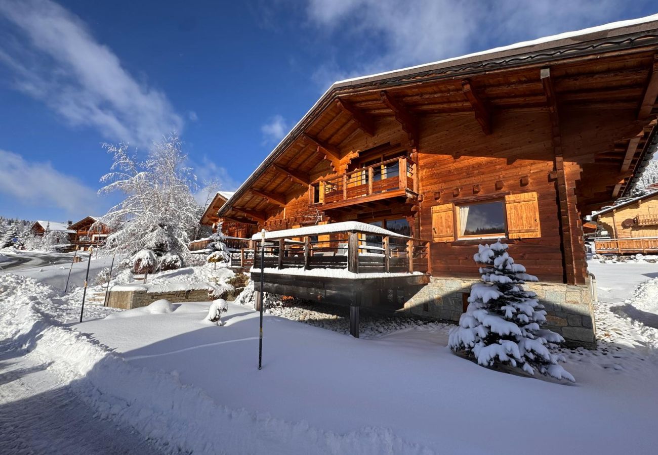 Chalet in Hauteluce - Amazing chalet