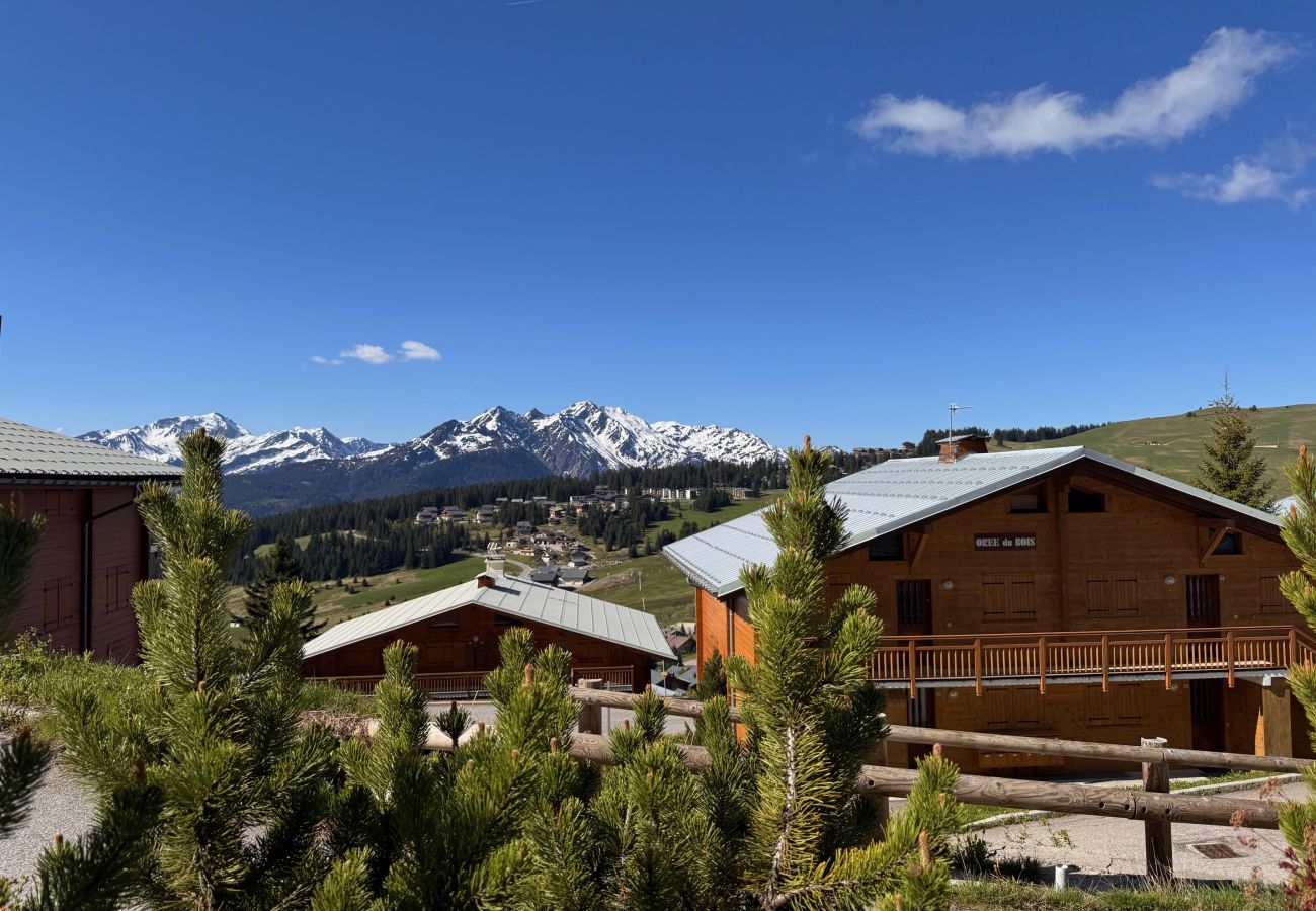 Apartment in Hauteluce - Les saisies : amazing accomodation with spa