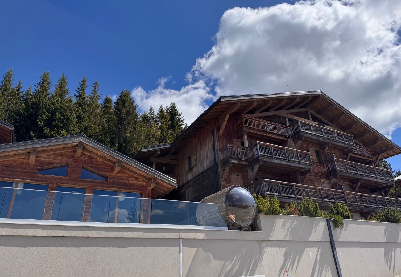 Apartment in Hauteluce - Les saisies : amazing accomodation with spa