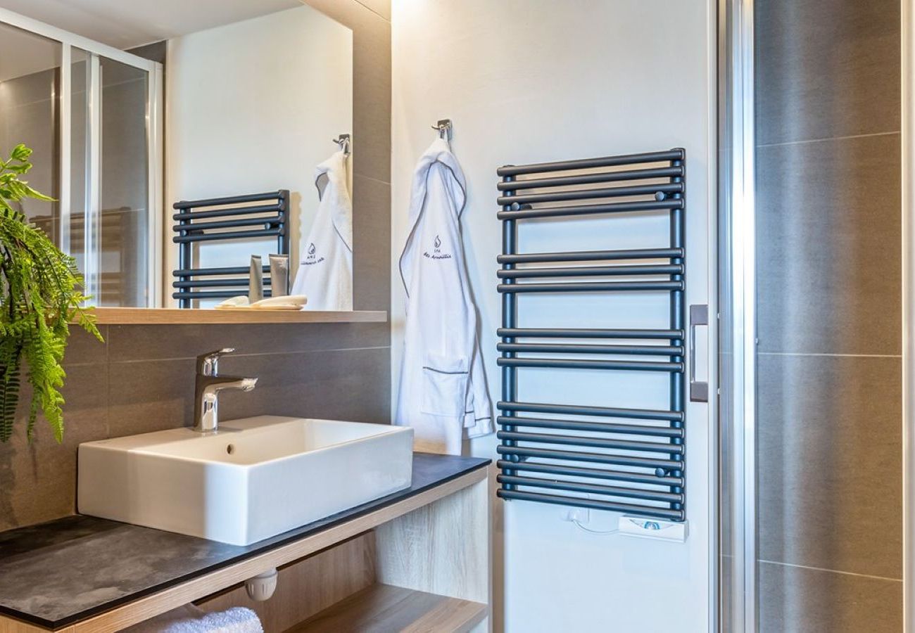Apartment in Hauteluce - Les saisies : amazing accomodation with spa