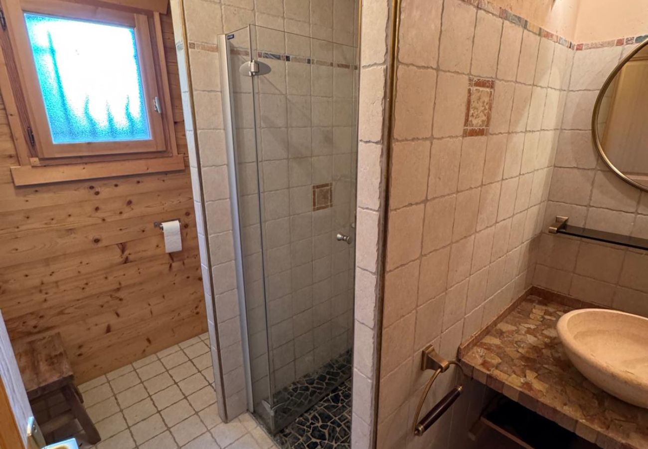 Chalet in Hauteluce - Amazing chalet Les saisies
