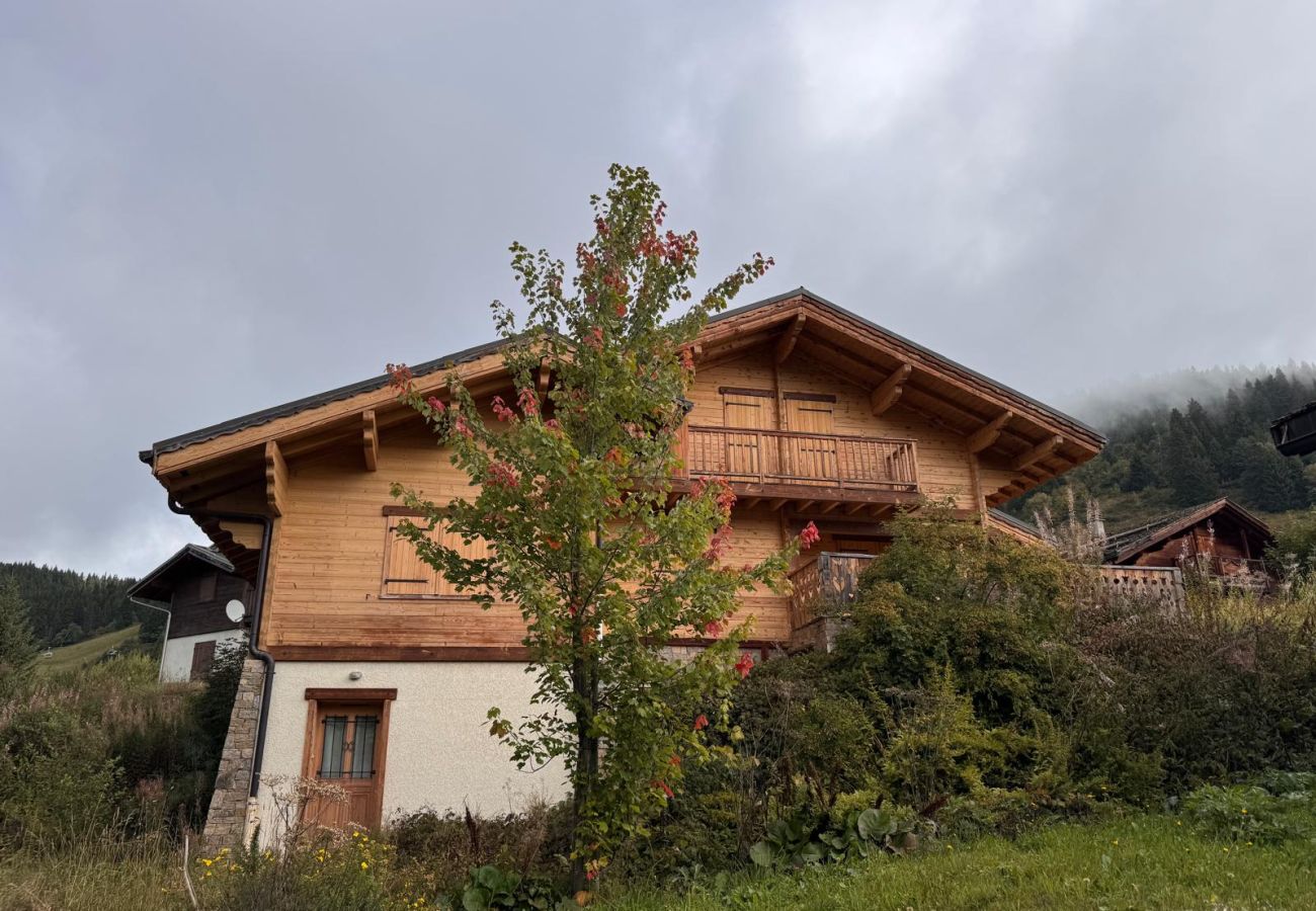 Chalet in Hauteluce - Amazing chalet Les saisies