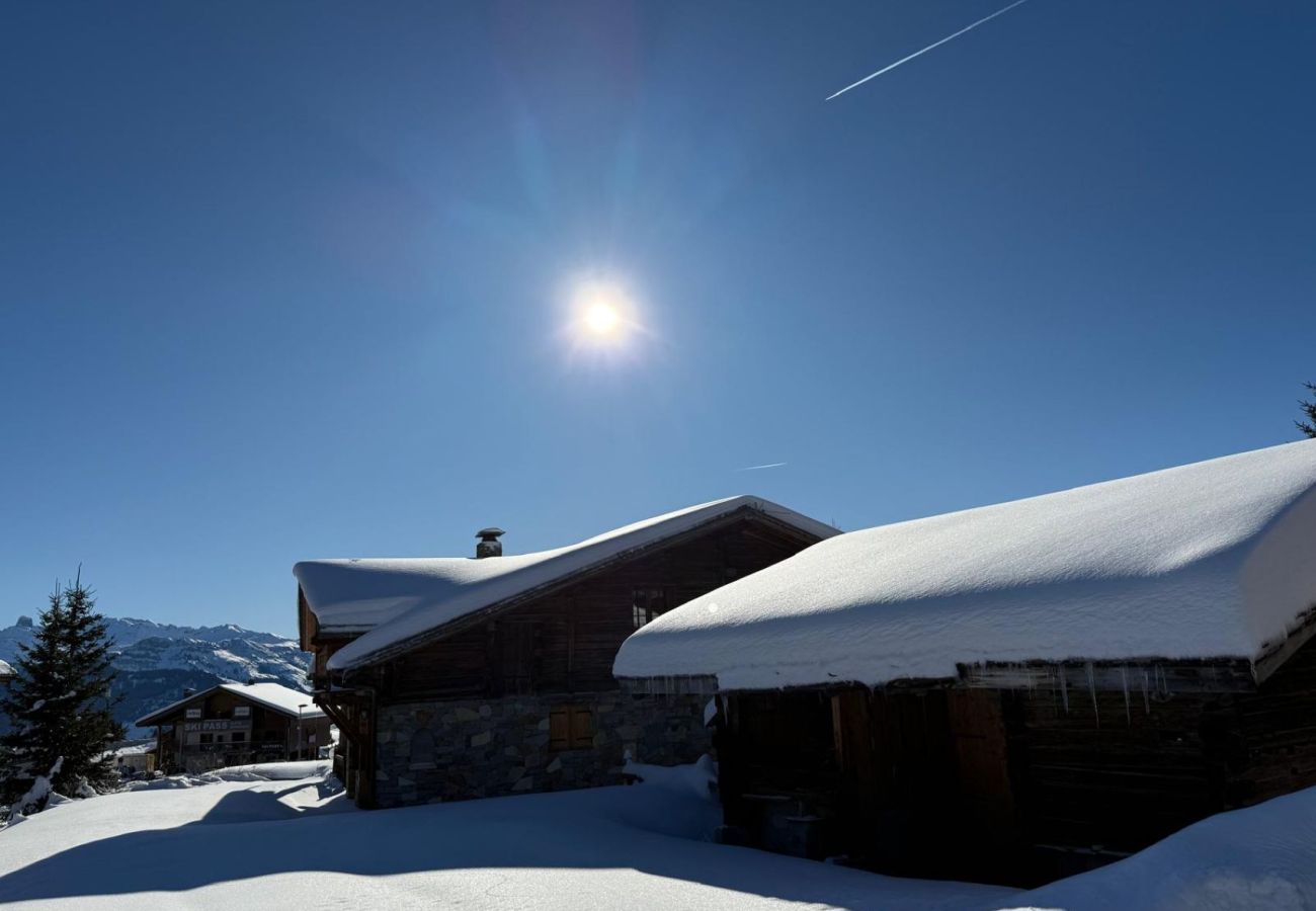 Chalet in Hauteluce - Les Saisies : Amazing chalet