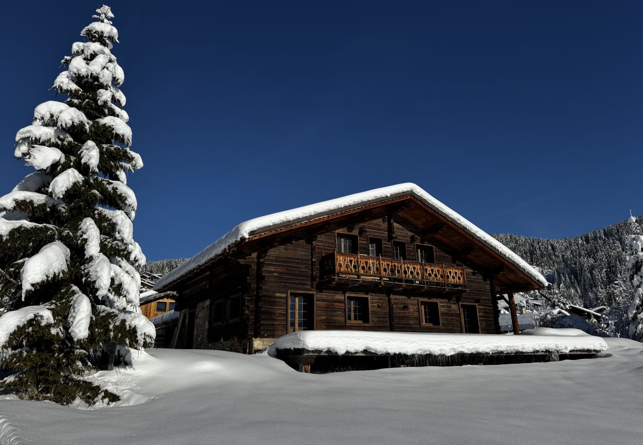 Chalet in Hauteluce - Les Saisies : Amazing chalet