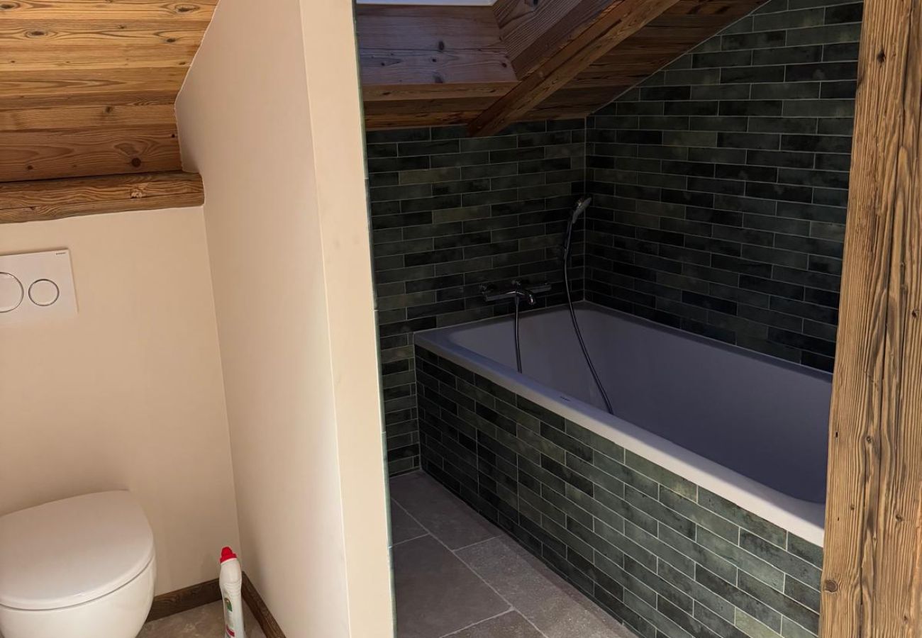 Chalet in Hauteluce - Les Saisies : Amazing chalet