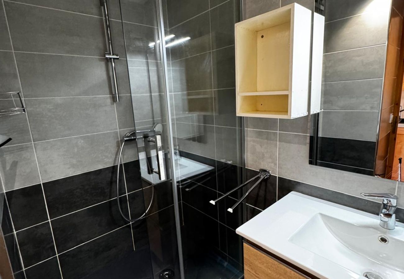 Apartment in Hauteluce - Les saisies : great accomodation