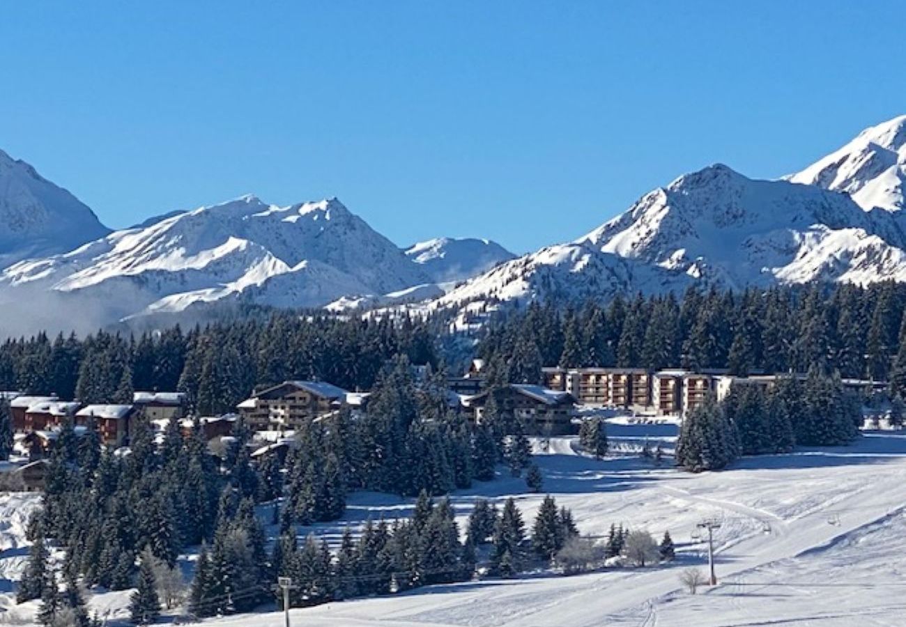 Apartment in Hauteluce - Les saisies : great accomodation