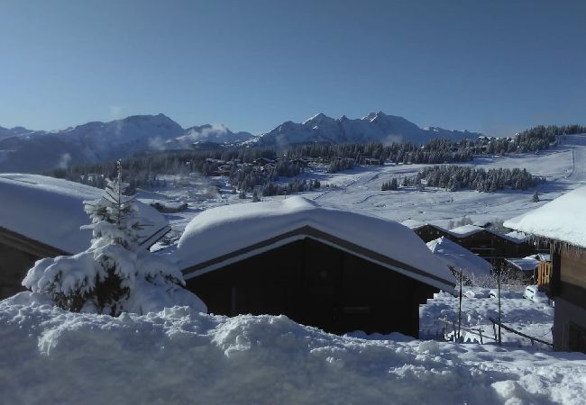 Appartement à Hauteluce - Les Saisies : spacieux appartement 5 personnes au calme Appartement à Hauteluce - Les Saisies : spacieux appartement 5 personnes au calme