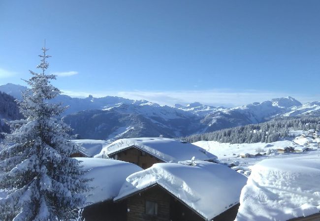 Appartement à Hauteluce - Les Saisies : spacieux appartement 9 personnes  Appartement à Hauteluce - Les Saisies : spacieux appartement 9 personnes