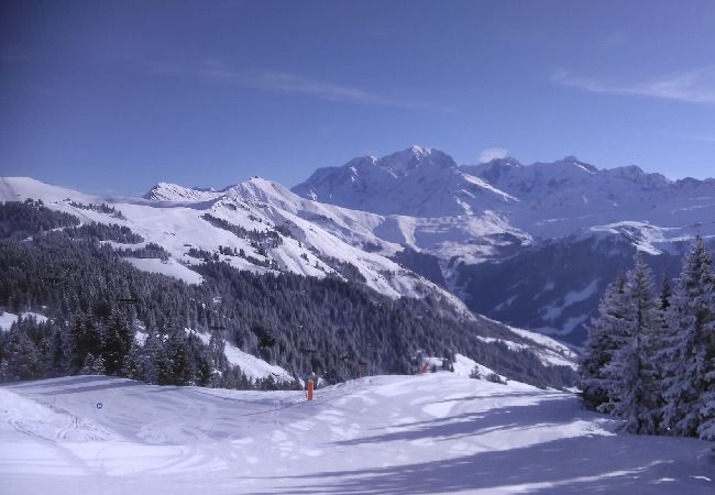 Appartement à Hauteluce - Les Saisies :  appartement en plein centre  Appartement à Hauteluce - Les Saisies :  appartement en plein centre