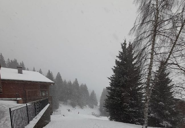 Chalet à Hauteluce - Les Saisies : chalet d'exception  Chalet à Hauteluce - Les Saisies : chalet d'exception