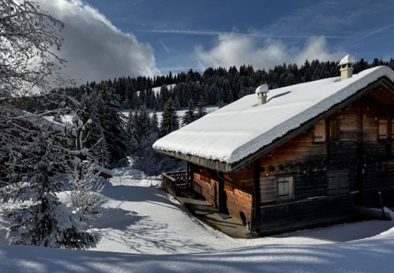 Chalet à Hauteluce - Les Saisies : superbe chalet mitoyen entrée station