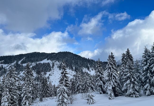 Appartement à Hauteluce - Les Saisies : superbe appartement secteur calme  Appartement à Hauteluce - Les Saisies : superbe appartement secteur calme