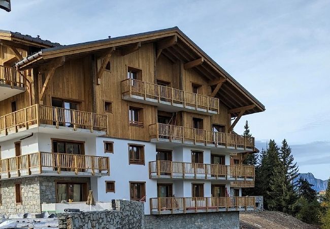 Appartement à Hauteluce - Les Saisies : superbe appartement secteur calme  Appartement à Hauteluce - Les Saisies : superbe appartement secteur calme