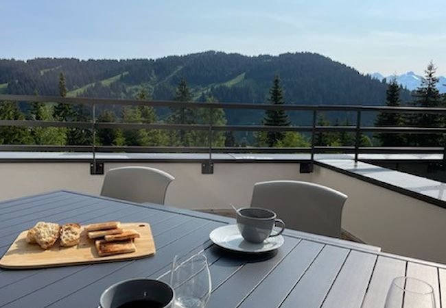 Appartement à Hauteluce - Les Saisies : superbe appartement secteur calme  Appartement à Hauteluce - Les Saisies : superbe appartement secteur calme