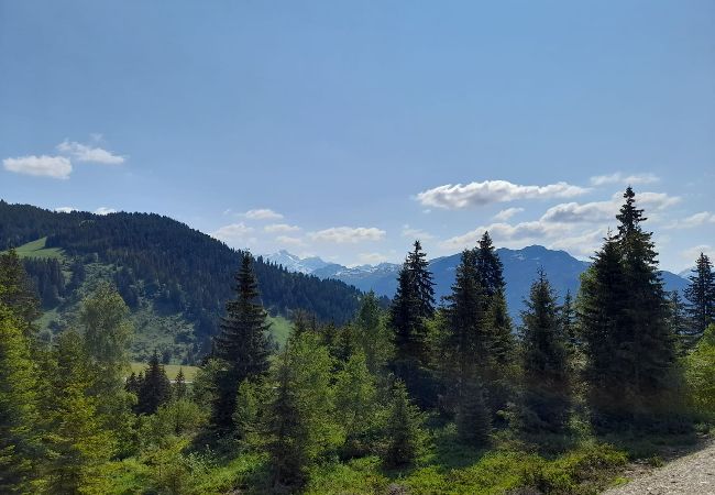 Appartement à Hauteluce - Les Saisies : superbe appartement secteur calme  Appartement à Hauteluce - Les Saisies : superbe appartement secteur calme