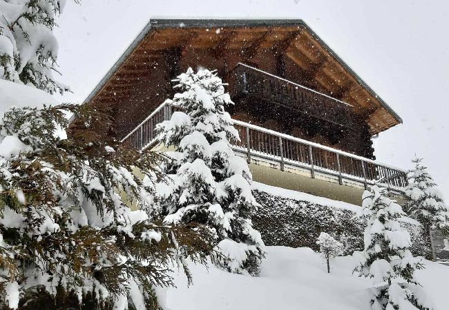 Chalet à Hauteluce - Luxueux chalet à 100m des pistes !  Chalet à Hauteluce - Luxueux chalet à 100m des pistes !