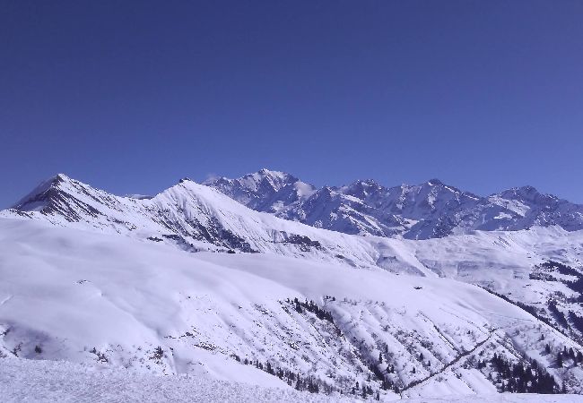 Chalet à Hauteluce - Luxueux chalet à 100m des pistes !  Chalet à Hauteluce - Luxueux chalet à 100m des pistes !