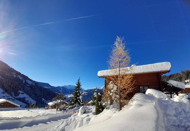 Chalet à Hauteluce - Luxueux chalet à 100m des pistes !  Chalet à Hauteluce - Luxueux chalet à 100m des pistes !