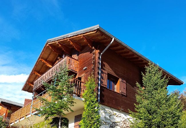 Chalet à Hauteluce - Luxueux chalet à 100m des pistes !  Chalet à Hauteluce - Luxueux chalet à 100m des pistes !