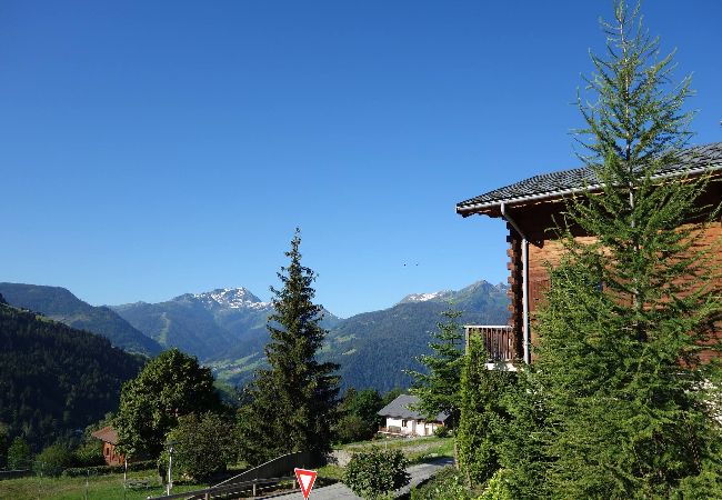 Chalet à Hauteluce - Luxueux chalet à 100m des pistes !  Chalet à Hauteluce - Luxueux chalet à 100m des pistes !