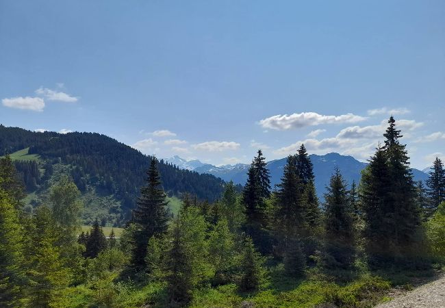 Appartement à Hauteluce - Appartement dans nouvelle résidence Les Saisies  Appartement à Hauteluce - Appartement dans nouvelle résidence Les Saisies