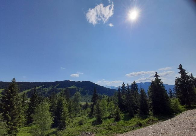 Appartement à Hauteluce - Appartement dans nouvelle résidence Les Saisies  Appartement à Hauteluce - Appartement dans nouvelle résidence Les Saisies