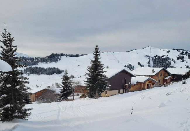 Appartement à Hauteluce - Les Saisies : appartement proche des pistes  Appartement à Hauteluce - Les Saisies : appartement proche des pistes