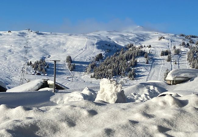 Résidence à Hauteluce - Magnifique appartement aux pieds des pistes de ski  Résidence à Hauteluce - Magnifique appartement aux pieds des pistes de ski