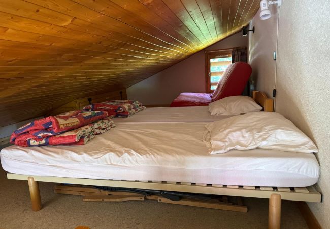 Appartement à Hauteluce - Les Saisies :Appartement centre station face aux pistes Appartement à Hauteluce - Les Saisies :Appartement centre station face aux pistes