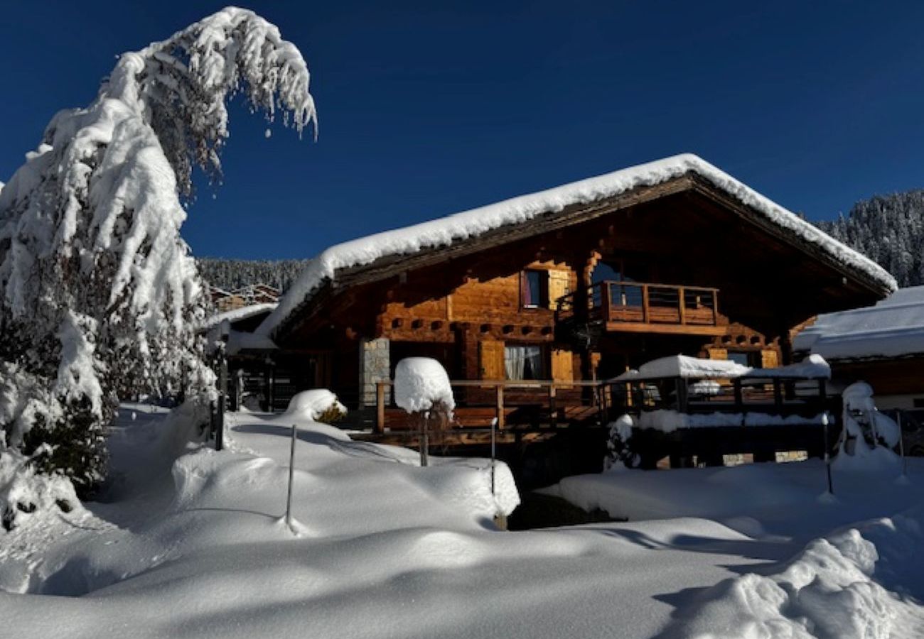 Chalet à Hauteluce - Les Saisies : superbe chalet face aux pistes
