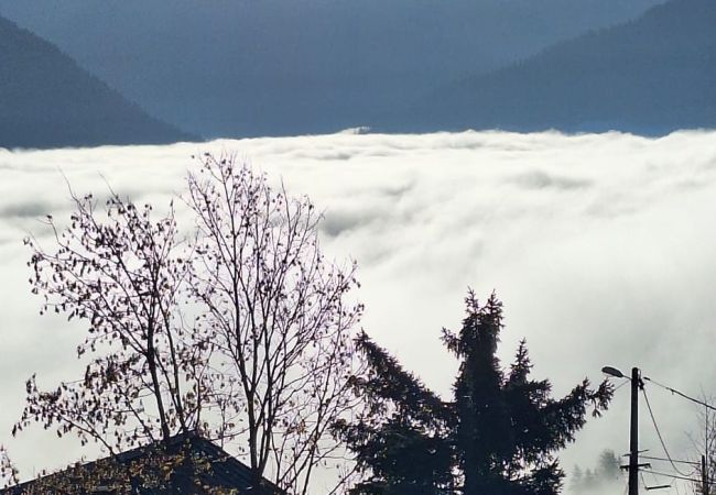 Appartement à Hauteluce - Les Saisies : superbe appartement de standing Appartement à Hauteluce - Les Saisies : superbe appartement de standing