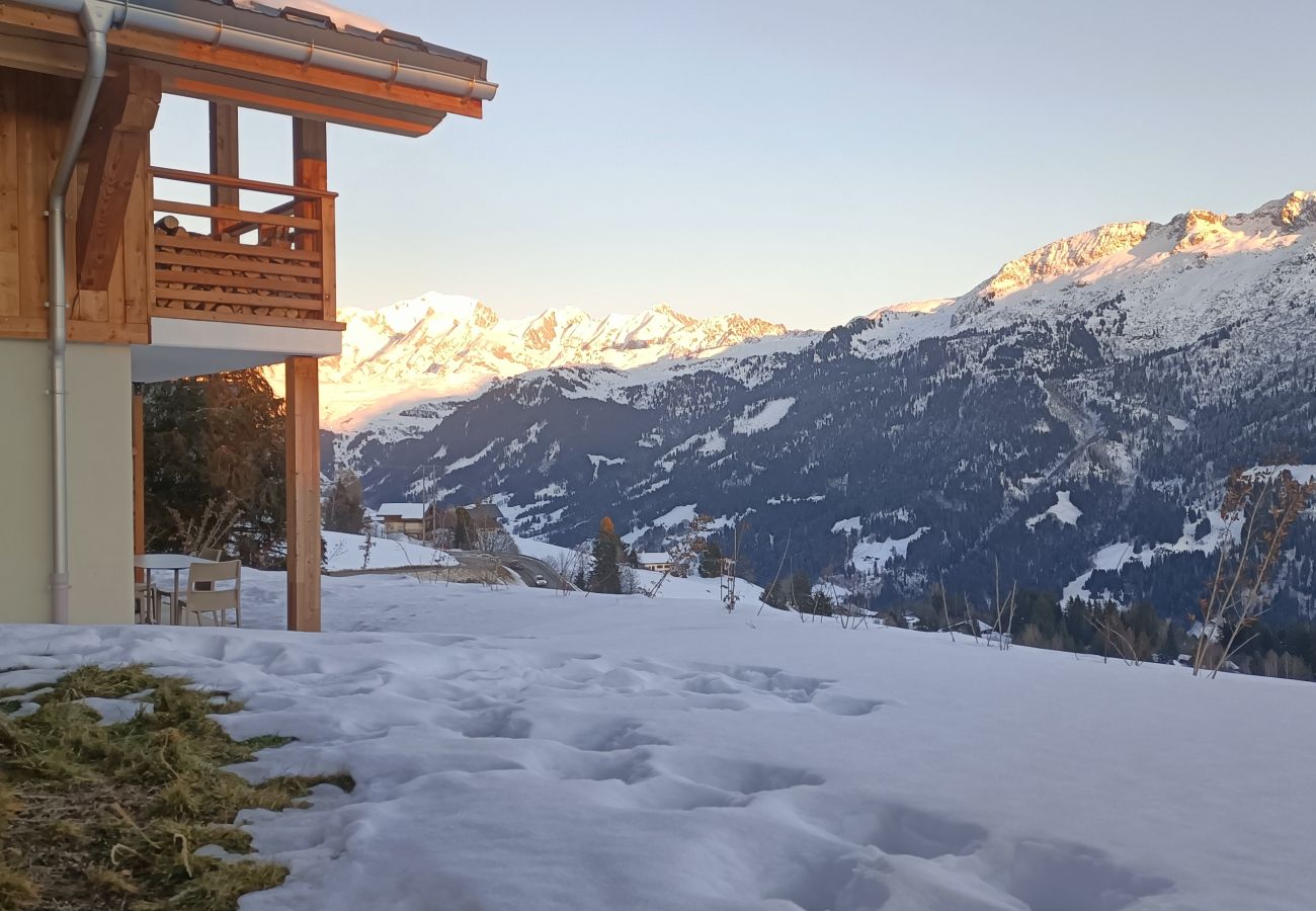 Appartement à Hauteluce - Les Saisies : lumineux appartement proches des pistes
