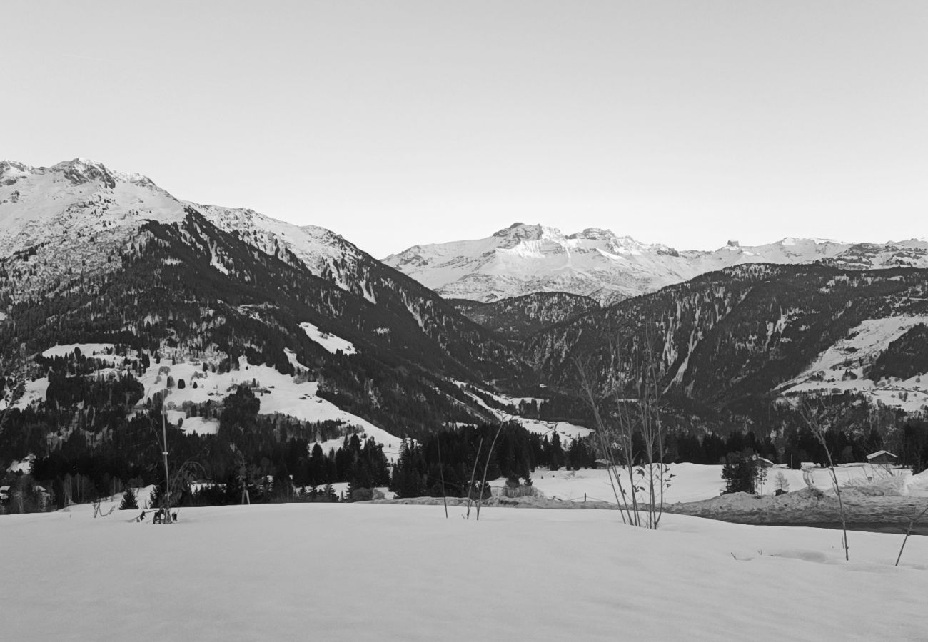 Appartement à Hauteluce - Les Saisies : lumineux appartement proches des pistes