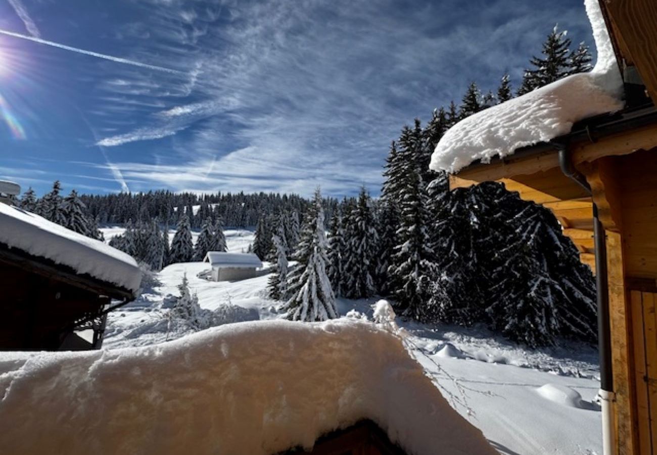 Chalet à Hauteluce - Les Saisies : luxueux chalet 12 pers. à 800 m des pistes 