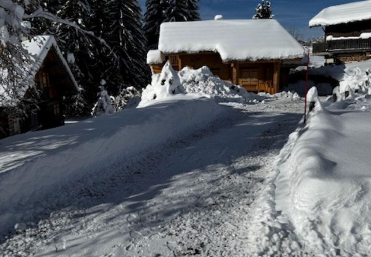 Chalet à Hauteluce - Les Saisies : luxueux chalet 12 pers. à 800 m des pistes 