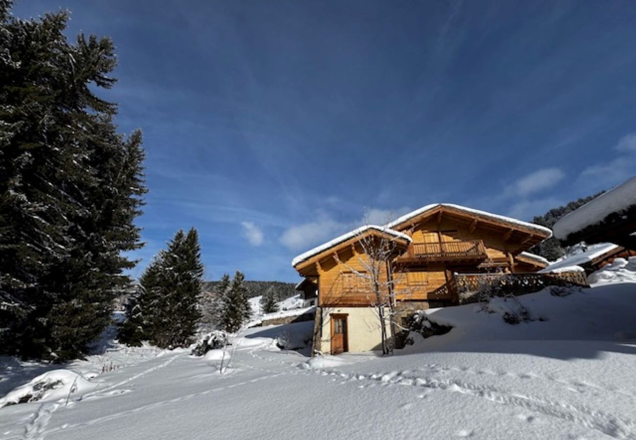 Chalet à Hauteluce - Les Saisies : luxueux chalet 12 pers. à 800 m des pistes 