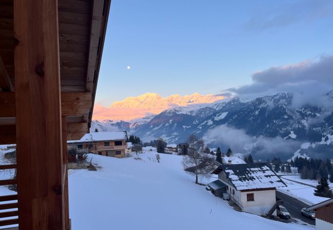 Appartement à Hauteluce - Les Saisies : superbe logement 8 pers face au Mont Blanc