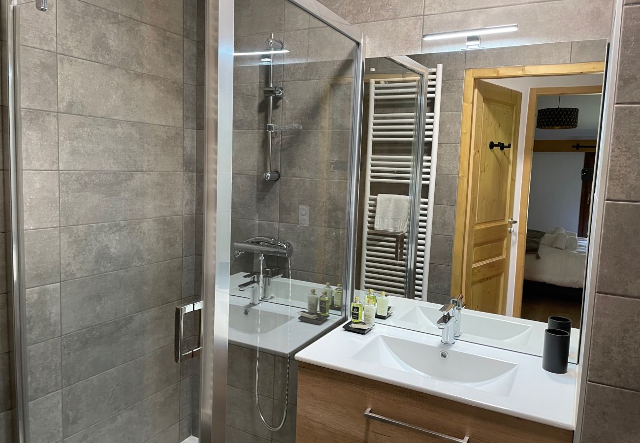 Appartement à Hauteluce - Les Saisies : superbe logement 8 pers face au Mont Blanc