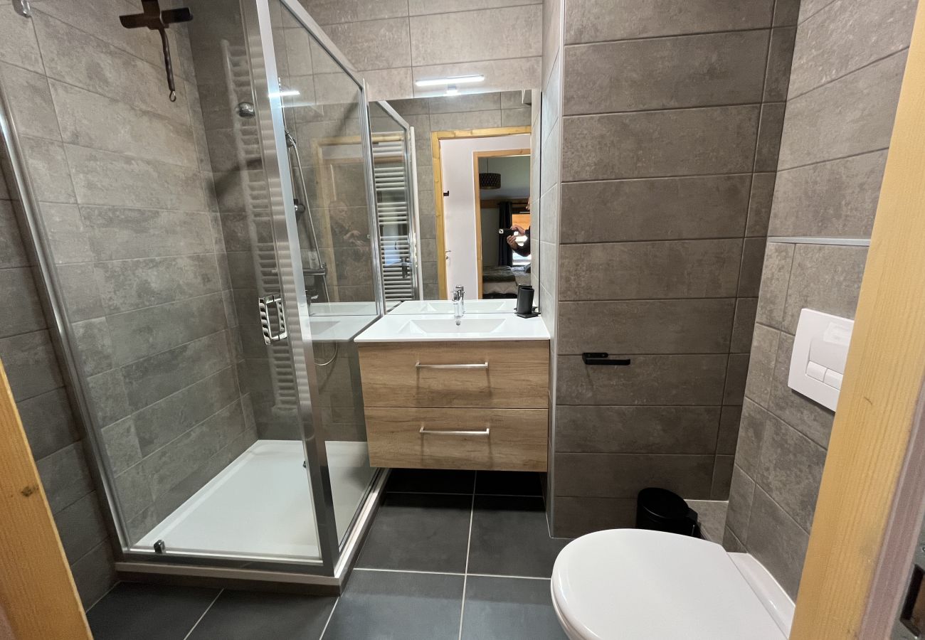 Appartement à Hauteluce - Les Saisies : superbe logement 8 pers face au Mont Blanc