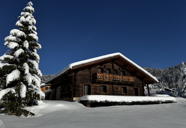 Chalet à Hauteluce - Les Saisies : Luxueux chalet face aux pistes et rdv ESF