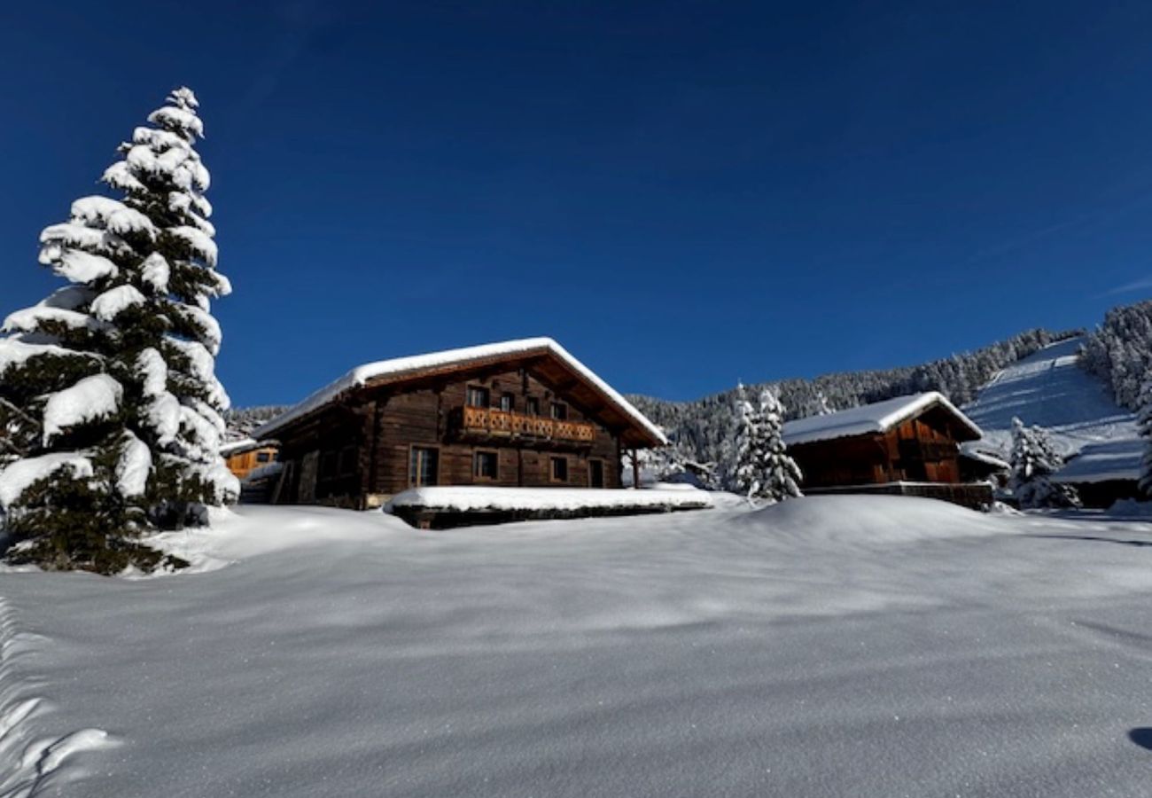 Chalet à Hauteluce - Les Saisies : Luxueux chalet face aux pistes et rdv ESF